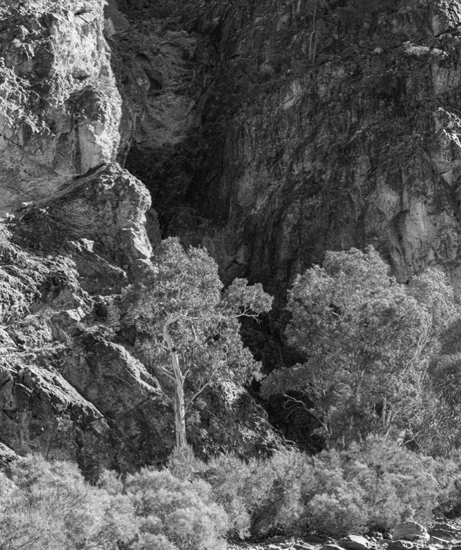 outback-australia-calendar-2021-black-and-white-edition